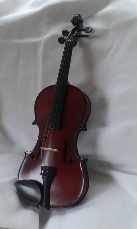 182 Anson Street - Accommodation Brisbane 2