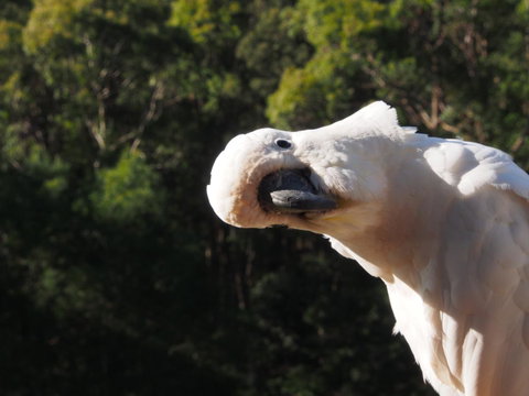 Bundle Hill Cottages - Accommodation Brisbane 1