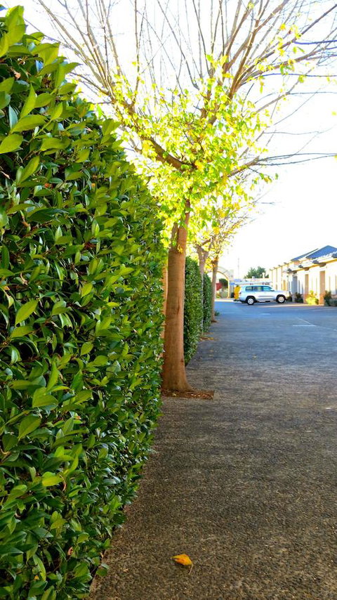 Best Western Plus Goulburn - Accommodation Brisbane 37