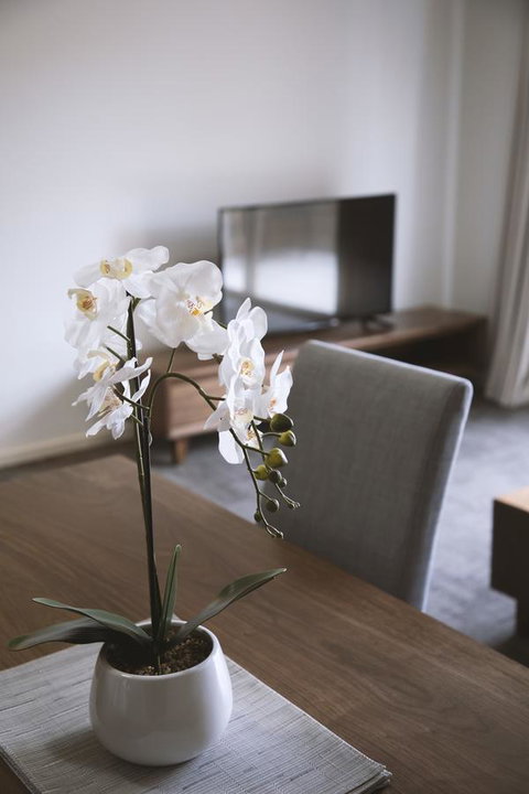 Quest Wagga Wagga - Accommodation Brisbane 11