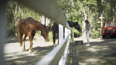 The Woods Farm Jervis Bay - Accommodation Brisbane 13
