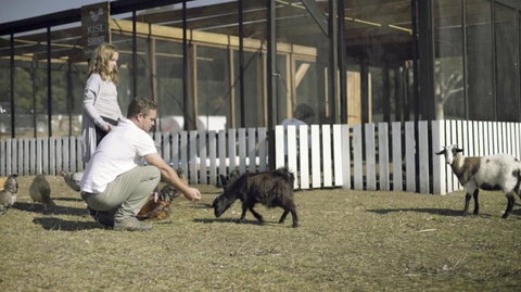 The Woods Farm Jervis Bay - Accommodation Brisbane 14