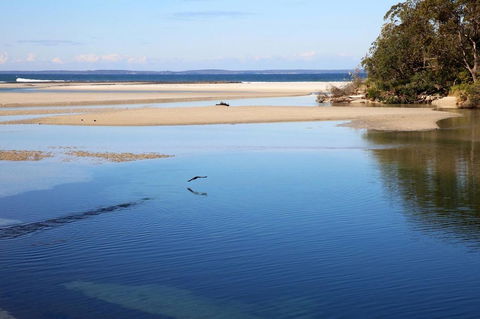 Jervis Bay Beach Shack I Pet Friendly - Accommodation Brisbane 19