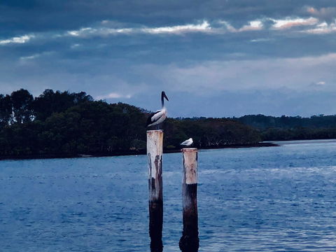 Boathouse Resort (Water Front) - Accommodation Brisbane 15