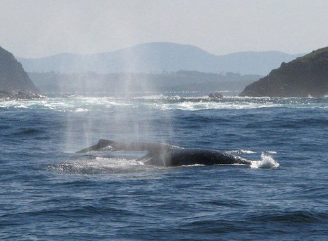 Boathouse Resort (Water Front) - Accommodation Brisbane 26