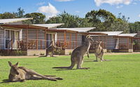 Book Pambula Beach Accommodation Vacations Accommodation Brisbane Accommodation Brisbane