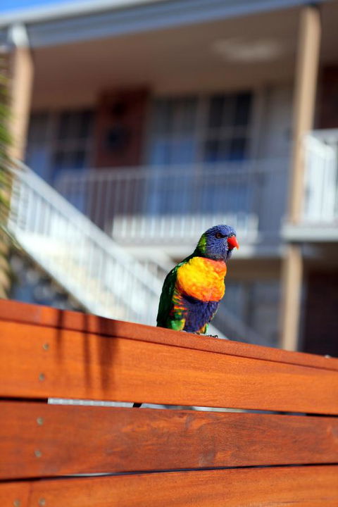 Summerhill Motor Inn - Accommodation Brisbane 30