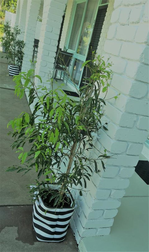 Mulwala Resort - Accommodation Brisbane 16