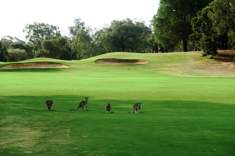 Mulwala Resort - Accommodation Brisbane 40