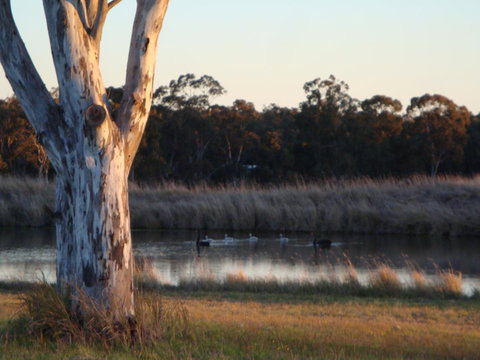 Adina Vineyard - Accommodation Brisbane 10