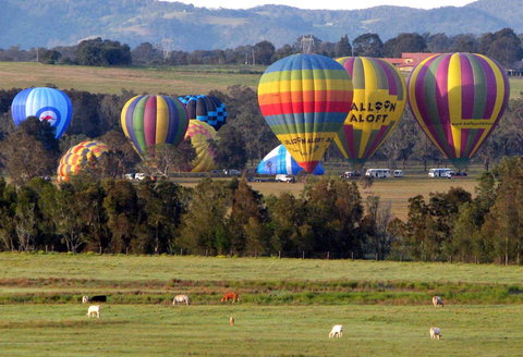 Adina Vineyard - Accommodation Brisbane 9