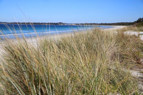 Sandy Toes Beach House Jervis Bay - 2min To Beach - Accommodation Brisbane 23