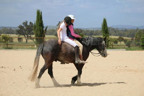 Belisi Farmstay Cottage - Accommodation Brisbane 28