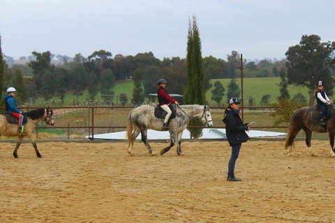 Belisi Farmstay Cottage - Accommodation Brisbane 34