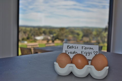 Belisi Farmstay Cottage - Accommodation Brisbane 20