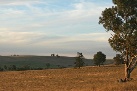 Belisi Farmstay Cottage - Accommodation Brisbane 33