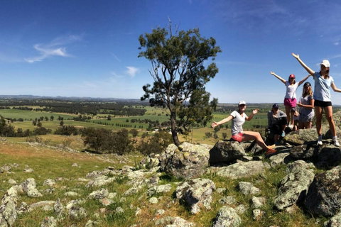 Belisi Farmstay Cottage - Accommodation Brisbane 32