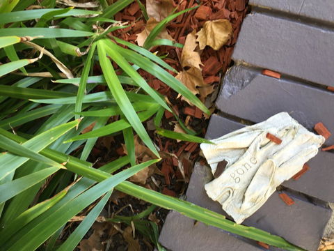 Quest St Leonards - Accommodation Brisbane 22