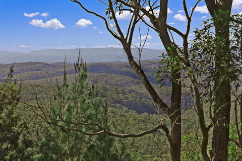 Mountainside B & B - Accommodation Brisbane 9