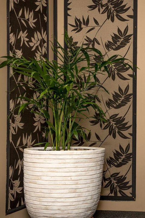 Mountainside B & B - Accommodation Brisbane 30