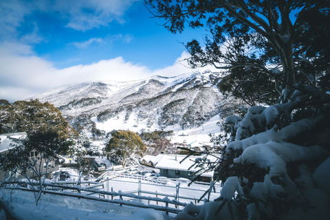 Pure Chalet Thredbo - Accommodation Brisbane 31