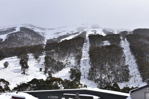 Pure Chalet Thredbo - Accommodation Brisbane 6