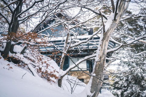 Pure Chalet Thredbo - Accommodation Brisbane 27