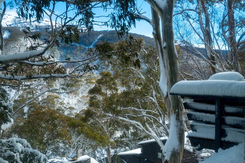 Pure Chalet Thredbo - Accommodation Brisbane 30