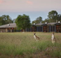 Wildman Wilderness Lodge - Accommodation Brisbane