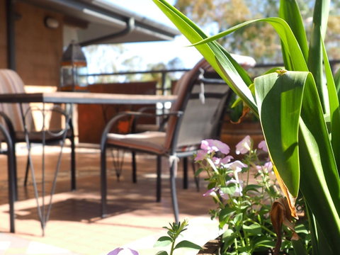 Wilmots On Dixon - Accommodation Brisbane 15