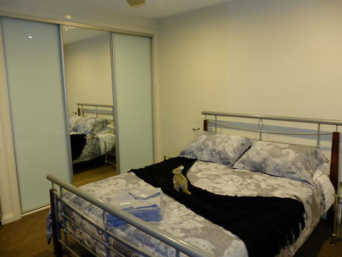 Rock Wallaby - Accommodation Brisbane 14