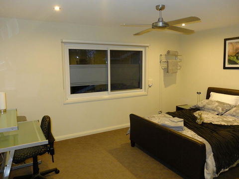 Rock Wallaby - Accommodation Brisbane 6