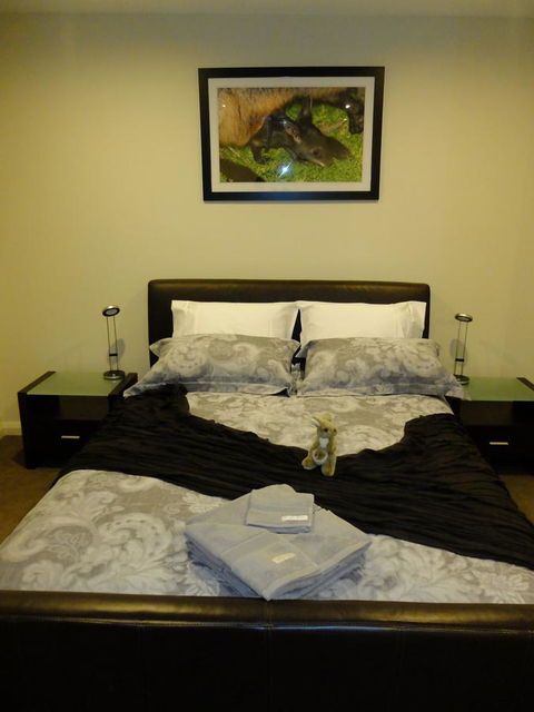 Rock Wallaby - Accommodation Brisbane 18