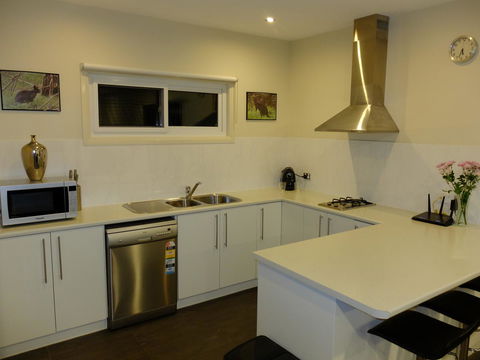 Rock Wallaby - Accommodation Brisbane 12