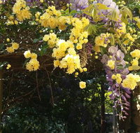 Bowral Road Bed and Breakfast - Accommodation Brisbane