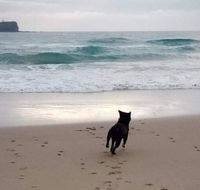 Breakers at Mudjimba Beach - Accommodation Brisbane