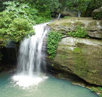 Buderim Forest Hideaway - Accommodation Brisbane