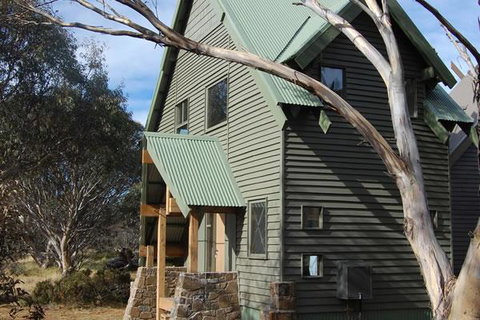 Buffalo - Accommodation Brisbane 0