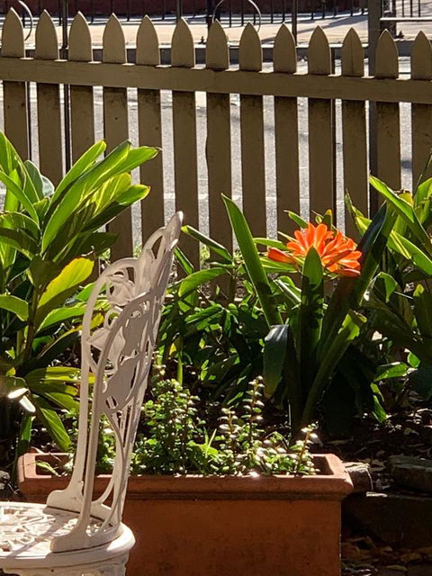 Burwood Bed And Breakfast - Accommodation Brisbane 3