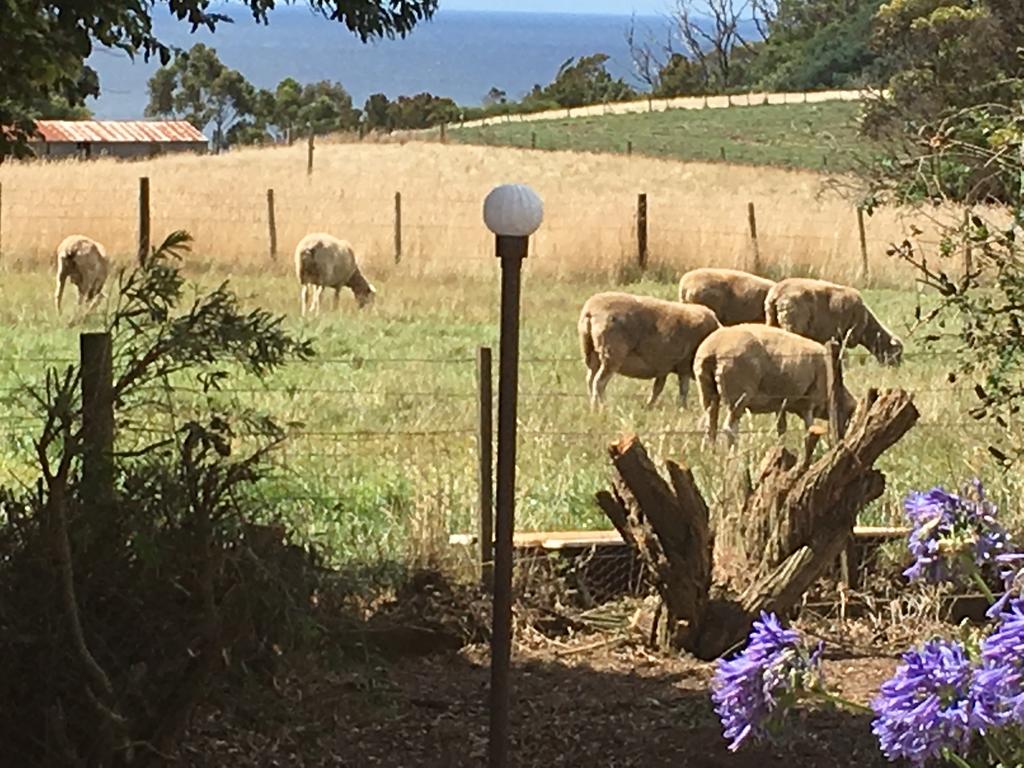 Table Cape TAS Accommodation Brisbane