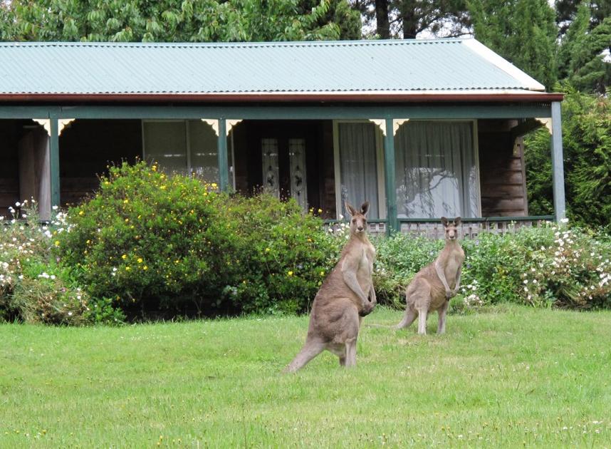 Mount Victoria NSW Accommodation Brisbane