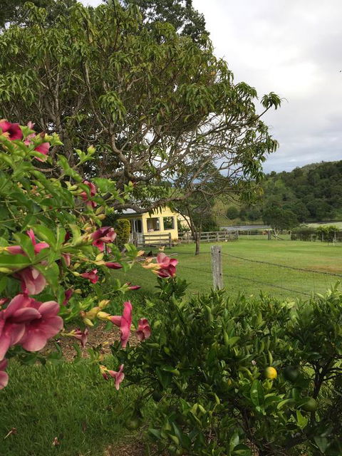 CedarBrae Country Stay - Accommodation Brisbane 2