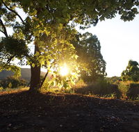 Clarendon Forest Retreat - Accommodation Brisbane