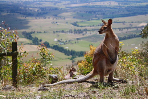 Corroboree Spa Cabin- Eaglereach - Accommodation Brisbane 1
