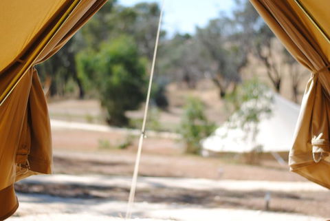 Cosy Tents - Daylesford - Accommodation Brisbane 1