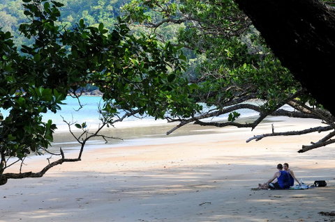 Cow Bay Homestay B&B - Accommodation Brisbane 1