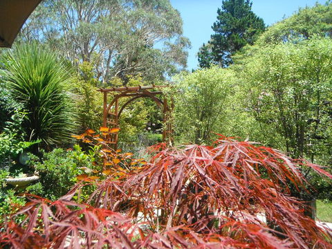 Crimson Villa - Accommodation Brisbane 3