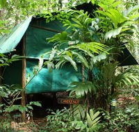 Daintree Crocodylus - Accommodation Brisbane