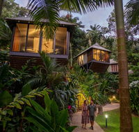 Daintree Ecolodge - Accommodation Brisbane