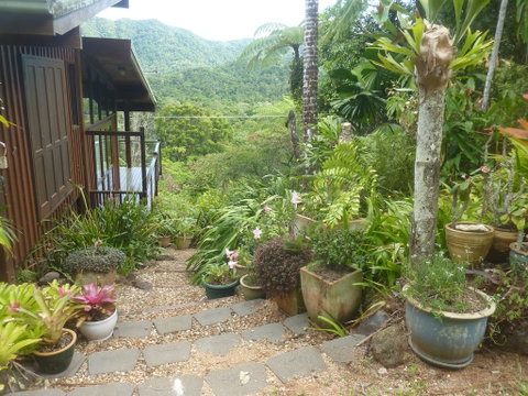 Daintree Holiday Homes - The Folly - Accommodation Brisbane 0